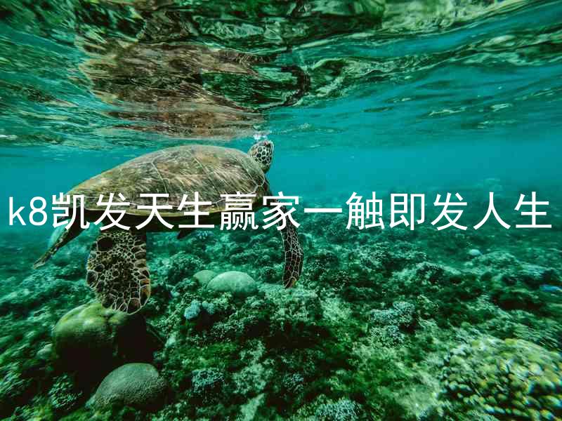 k8凯发天生赢家一触即发人生